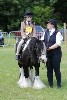 thornton-le-dale-gala showclass7acharity25-5-20211